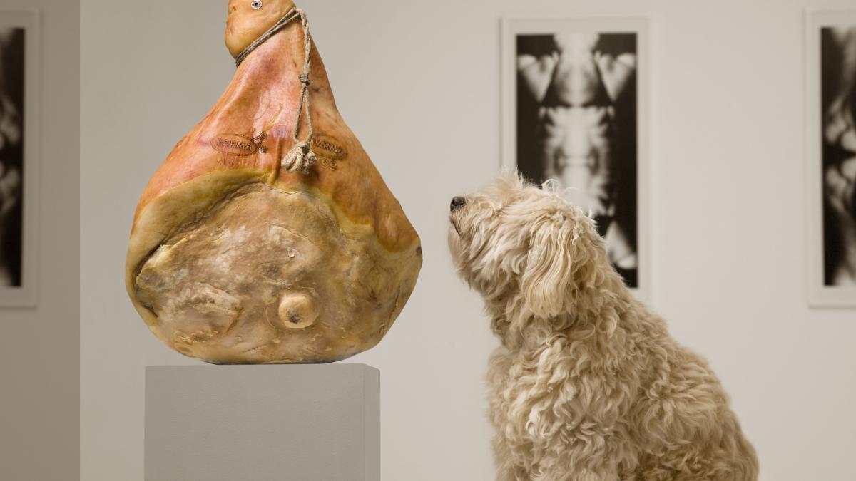 in italia muzeele ofera servicii de dog sitter pentru vizitatorii insotiti de animale de companie