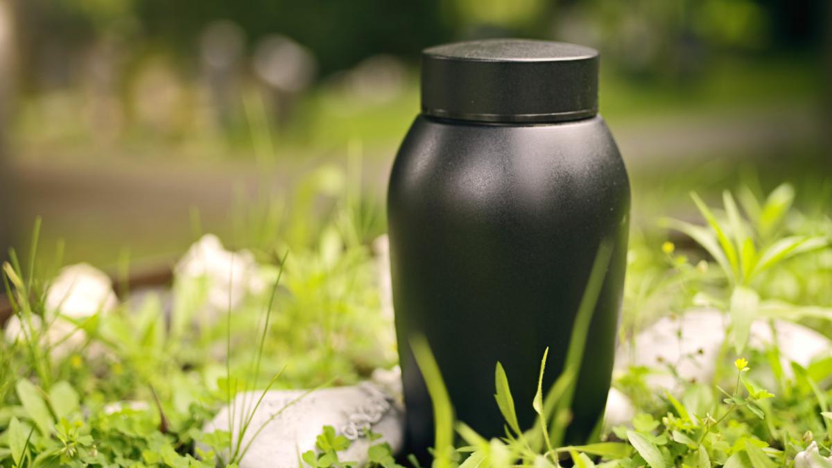 mister in italia dupa gasirea unei urne cu cenusa pe plaja la ostia cui apartine si cum a ajuns acolo