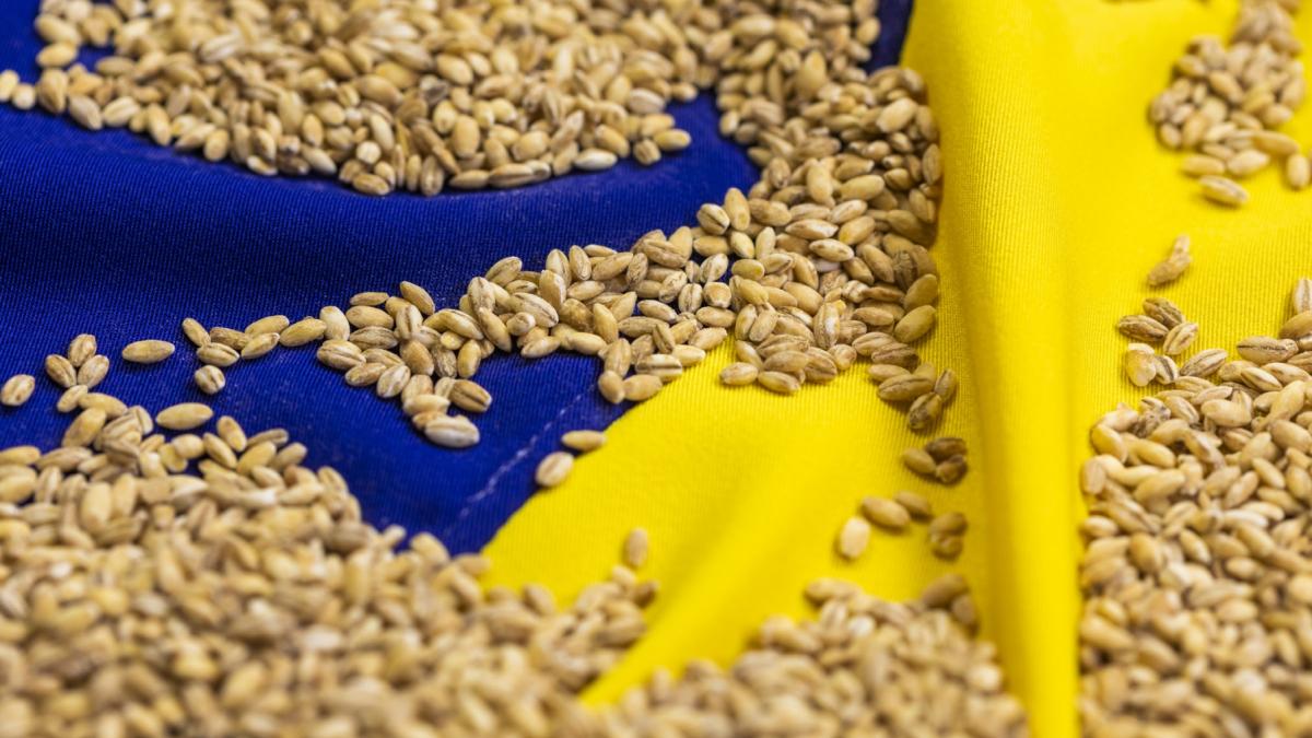 romania ungaria slovacia si bulgaria cer comisiei europene sa reintroduca cotele la produse agricole ucrainene