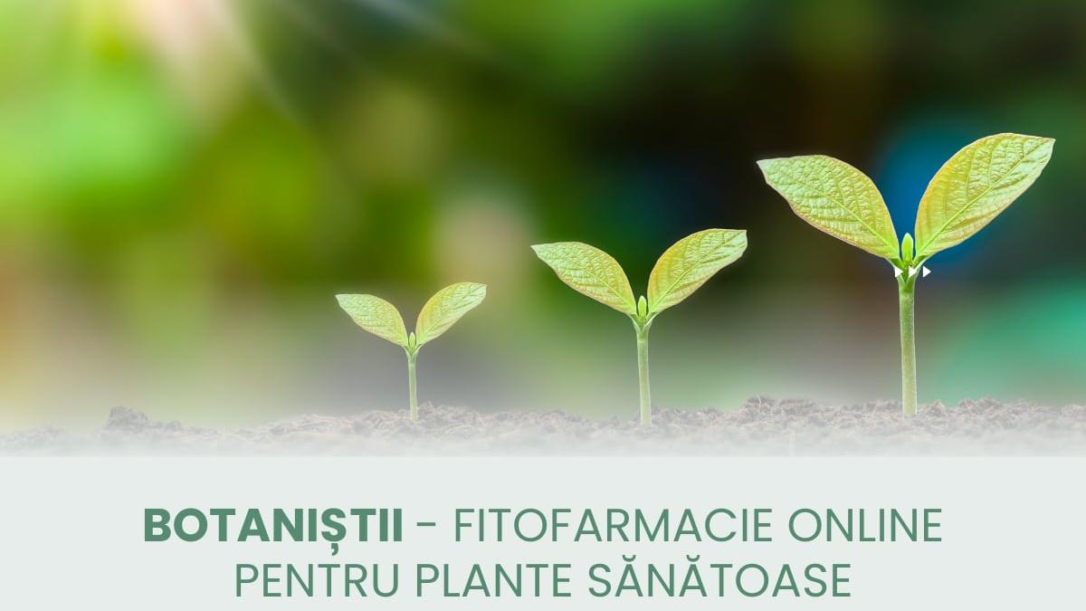 botanistii fitofarmacie online pentru plante sanatoase