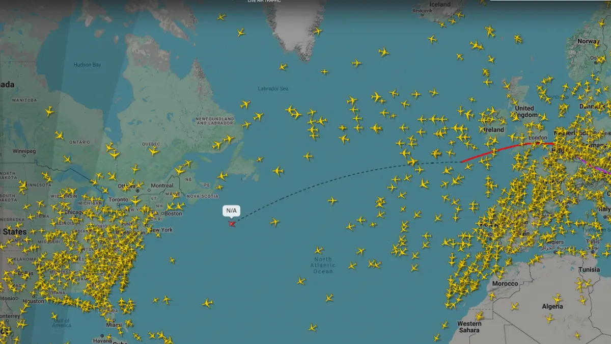 cel mai urmarit zbor 3 000 de oameni au stat cu ochii pe flight radar sa vada cand ajung fratii tate in florida