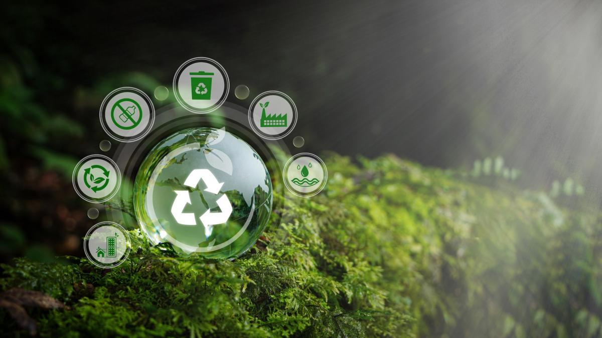 cum isi poate valorifica romania mai eficient resursele uriase