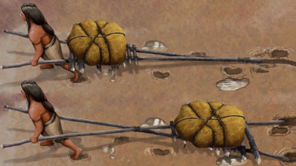 descoperire arheologica remarcabila s au gasit dovezi vechi de 20 000 de ani ale unor vehicule antice fara roti in new mexico