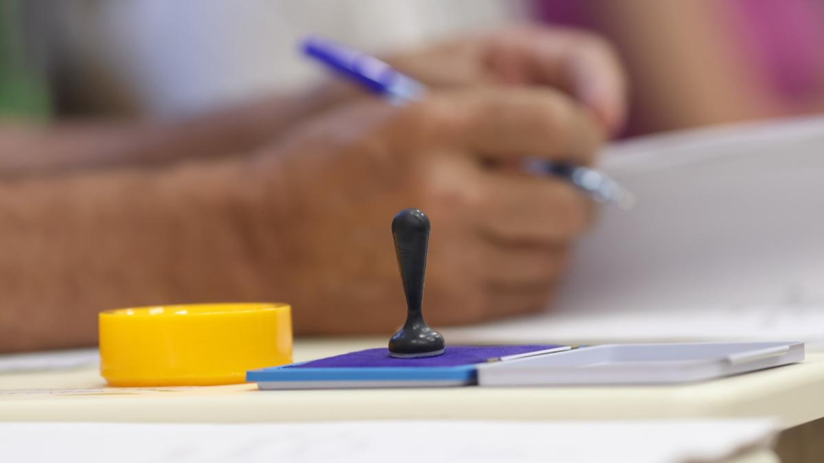 mae cere 3 600 000 de buletine de vot pentru diaspora