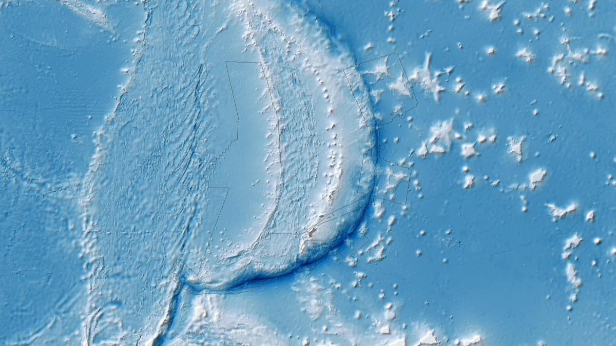 descoperiri noi in groapa marianelor cel mai adanc ecosistem marin cum traiesc vietuitoarele misterioase in abisul mereu intunecat