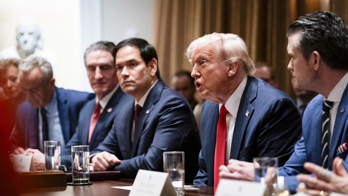 nyt elon musk s a certat cu marco rubio in sedinta cabinetului trump dupa ce i a spus ca e bun doar la tv