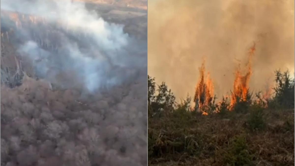 Incendii de vegetatie