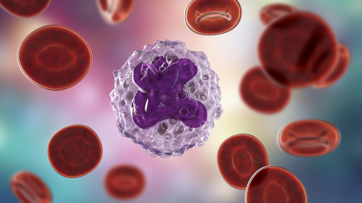 descoperire uimitoare a oamenilor de stiinta se intampla in fiecare celula a corpului nostru