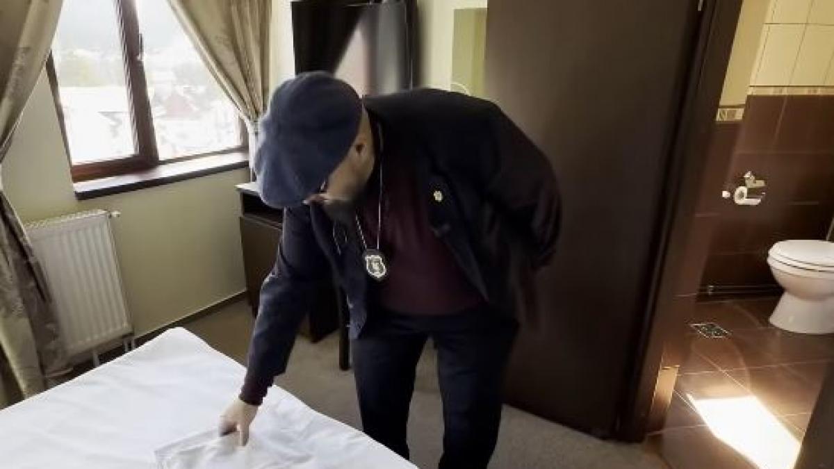 gandaci in bucatarii produse expirate si saltele patate anpc a ajuns si pe valea prahovei piedone pleaca carcalacii pe oameni