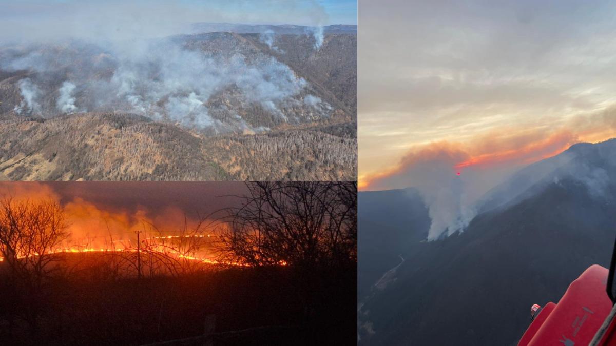 o femeie carbonizata mii de hectare arse incendiile de vegetatie fac prapad in romania arafat sunt actiuni intentionate