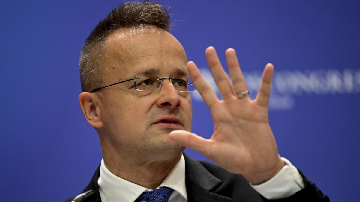 ungaria vrea ajutorul romaniei pentru a si spori sursele de aprovizionare cu energie