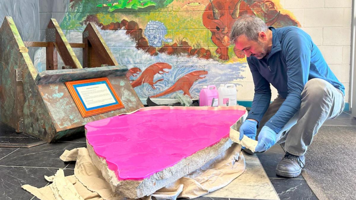 descoperire incredibila intr un liceu s au gasit zeci de urme de dinozaur pe o roca ce statea expusa in institutie de 23 de ani