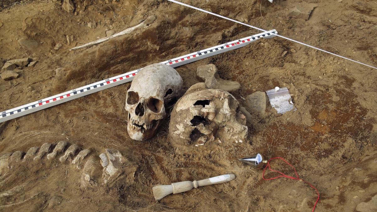 cranii cu cuie infipte in ele descoperirea care scoate la iveala ritualul infricosator din epoca fierului