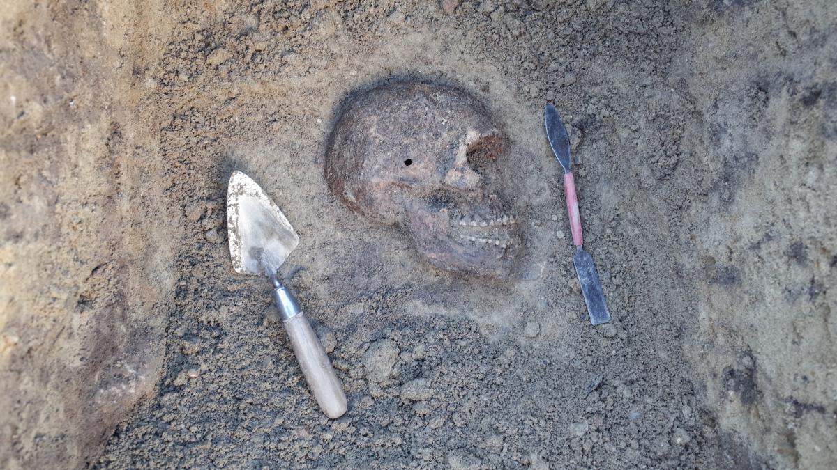 sapaturi arheologice schelet