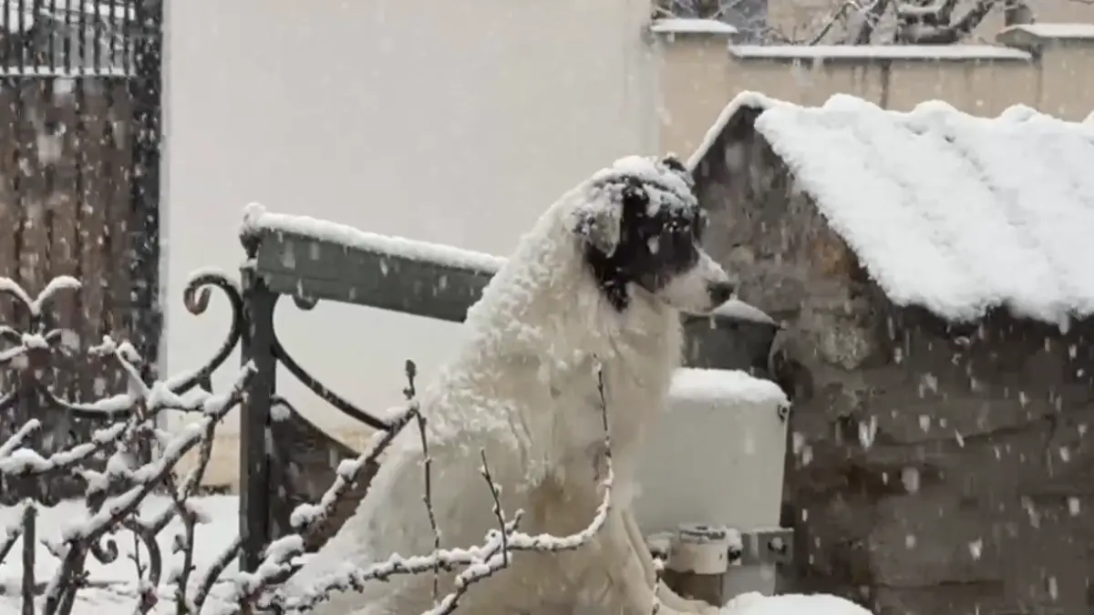 val de aer polar in romania zapada si viscol in mai multe zone ninsoare usoara si in bucuresti la primele ore ale diminetii
