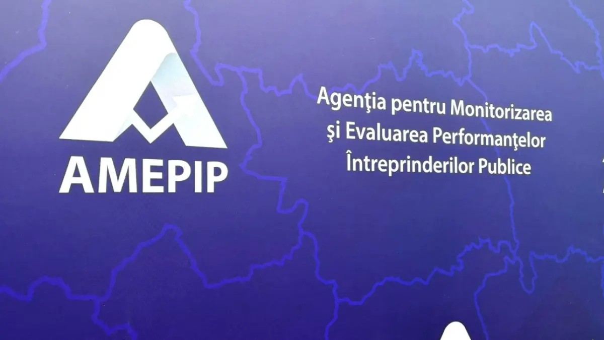 violeta alexandru ii cere lui ciolacu sa explice public cum e aleasa conducerea amepip agentia care supravegheaza firmele de stat