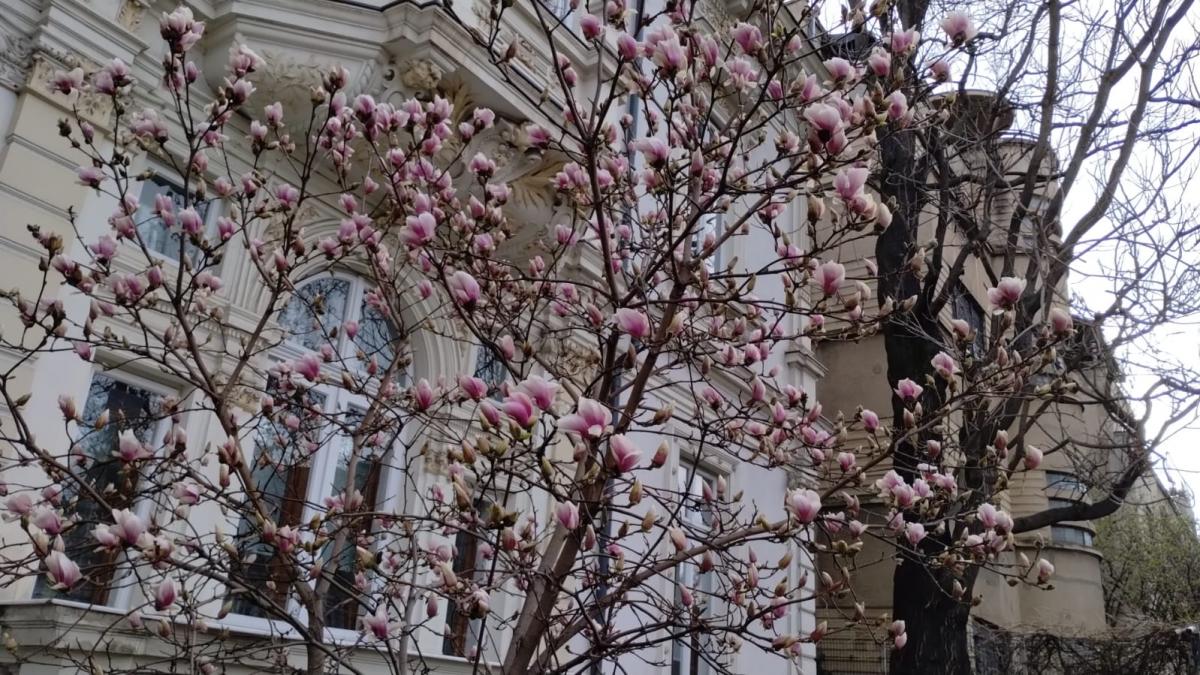 temperaturile in bucuresti vor creste peste cele normale perioadei meteorologii au anuntat cat de cald va fi in urmatoarele zile temperaturile in bucuresti vor creste peste cele normale perioadei meteorologii au anuntat cat de cald va fi in urmatoarele zile