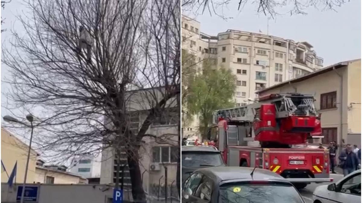 colaj protest arest