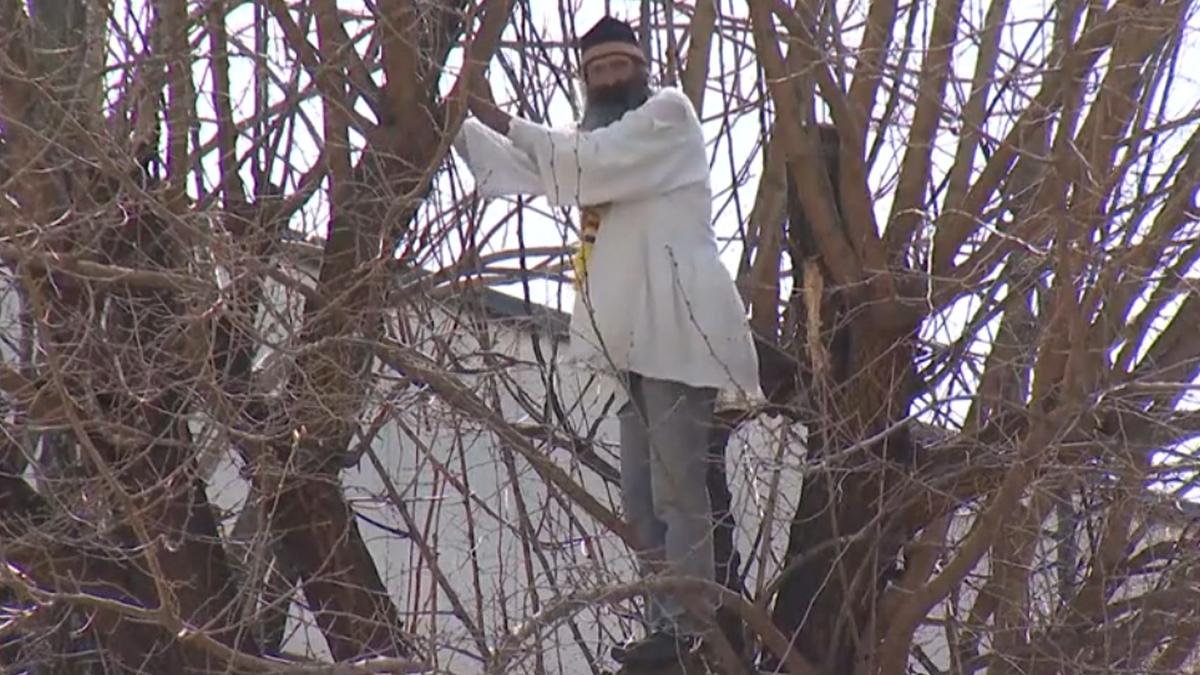 stegarul dac s a ales cu dosar penal dupa protestul in copac in fata arestului central ce a facut dupa ce a fost dus la audieri