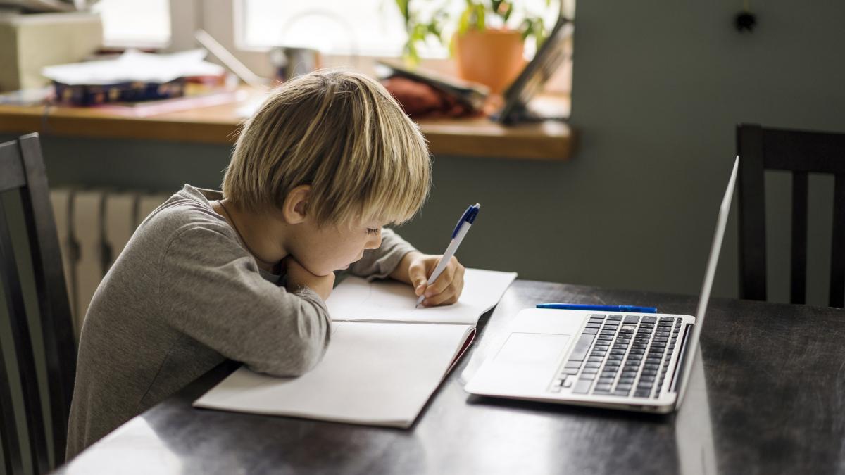 tot mai multi elevi renunta la meditatiile clasice si aleg platformele online e mai ieftin invata din confortul casei lor