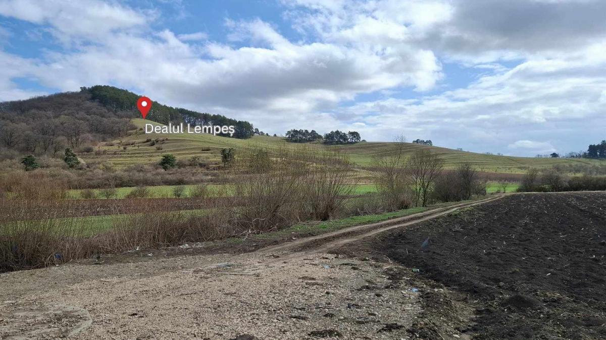 poza-unde-va-fi-un tunel cu o lungime de 400-600 metri în zona Dealului Lempeș