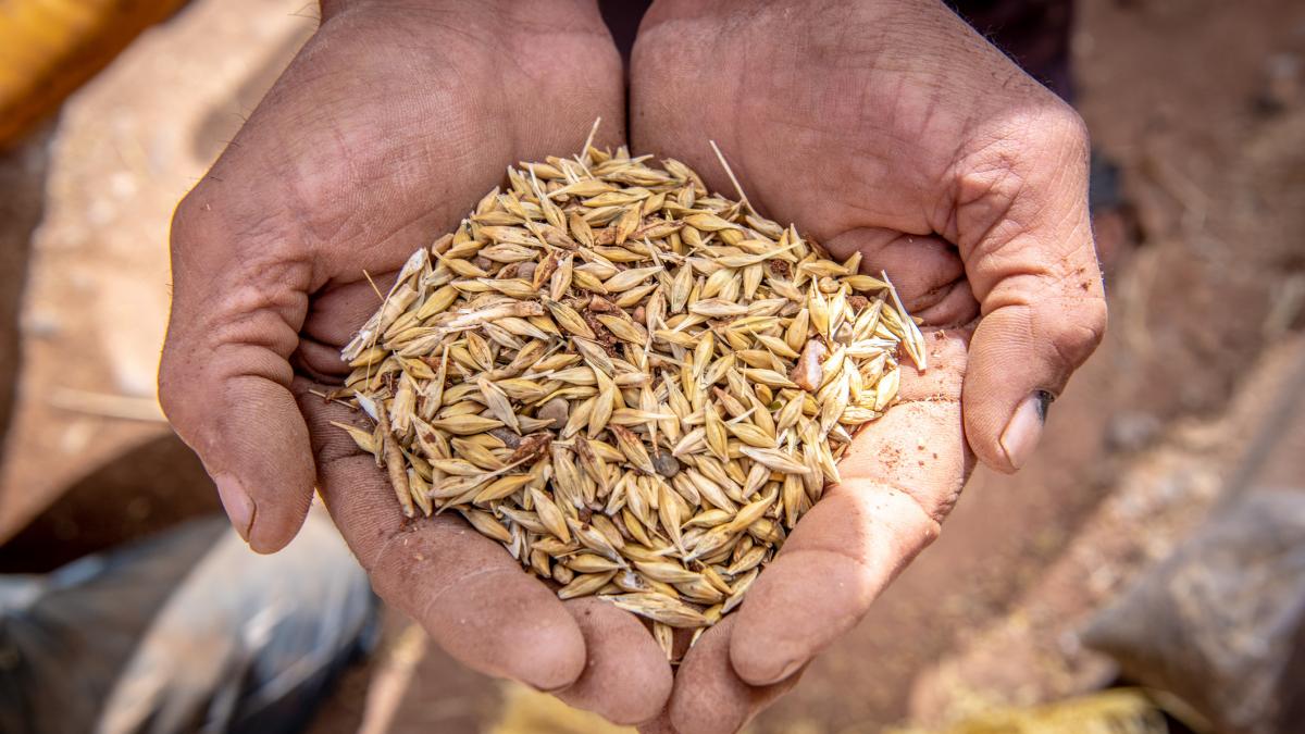 ue vrea sa reduca importurile de produse agricole din ucraina cand expira acordul comercial cu kievul