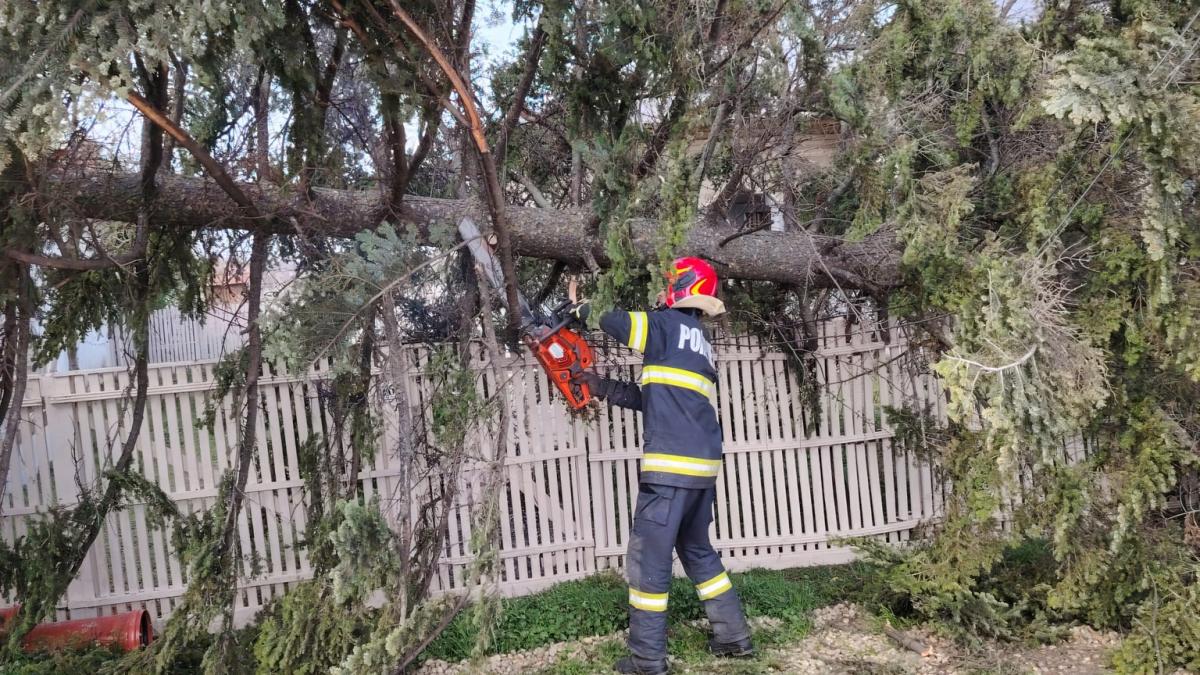 vantul puternic a doborat mai multi copaci a smuls bucati din acoperisurile blocurilor si a avariat zeci de masini
