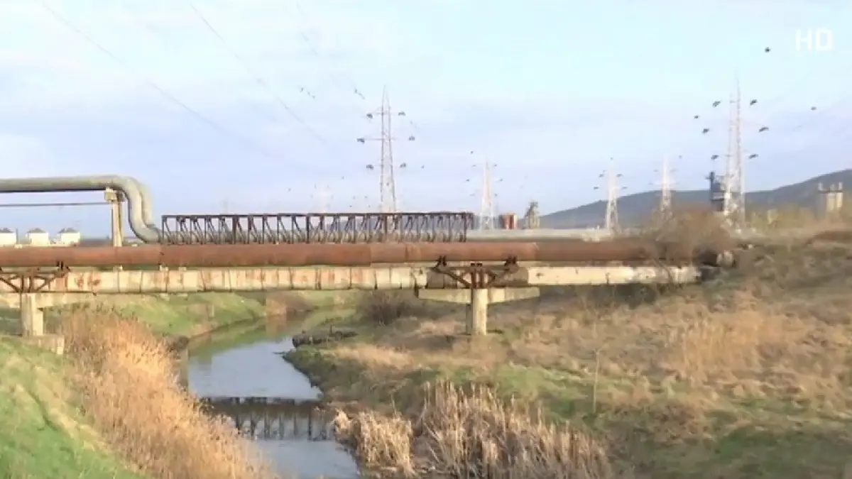 descoperiri socante in arad cadavrele a doi barbati au fost gasite in apele raului mures