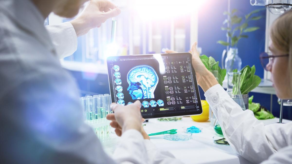 terapiile care duc la o imunitate puternica si care ne dau energie pot stimula celule nervoase afectate de procese neurodegenerative