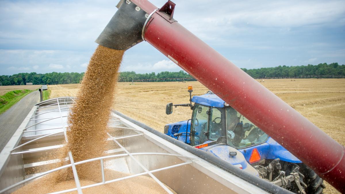 in anul 2024 romania a avut scaderi de doua cifre la productia agricola la aproape toate culturile