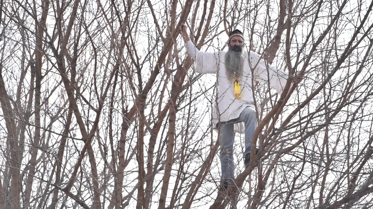 control judiciar de 60 de zile pentru stegarul dac nu mai are voie sa mearga la proteste si in zona arestului central