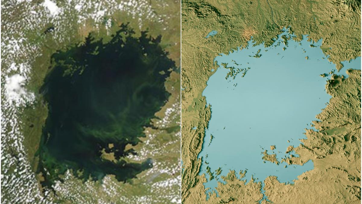 lacul victoria