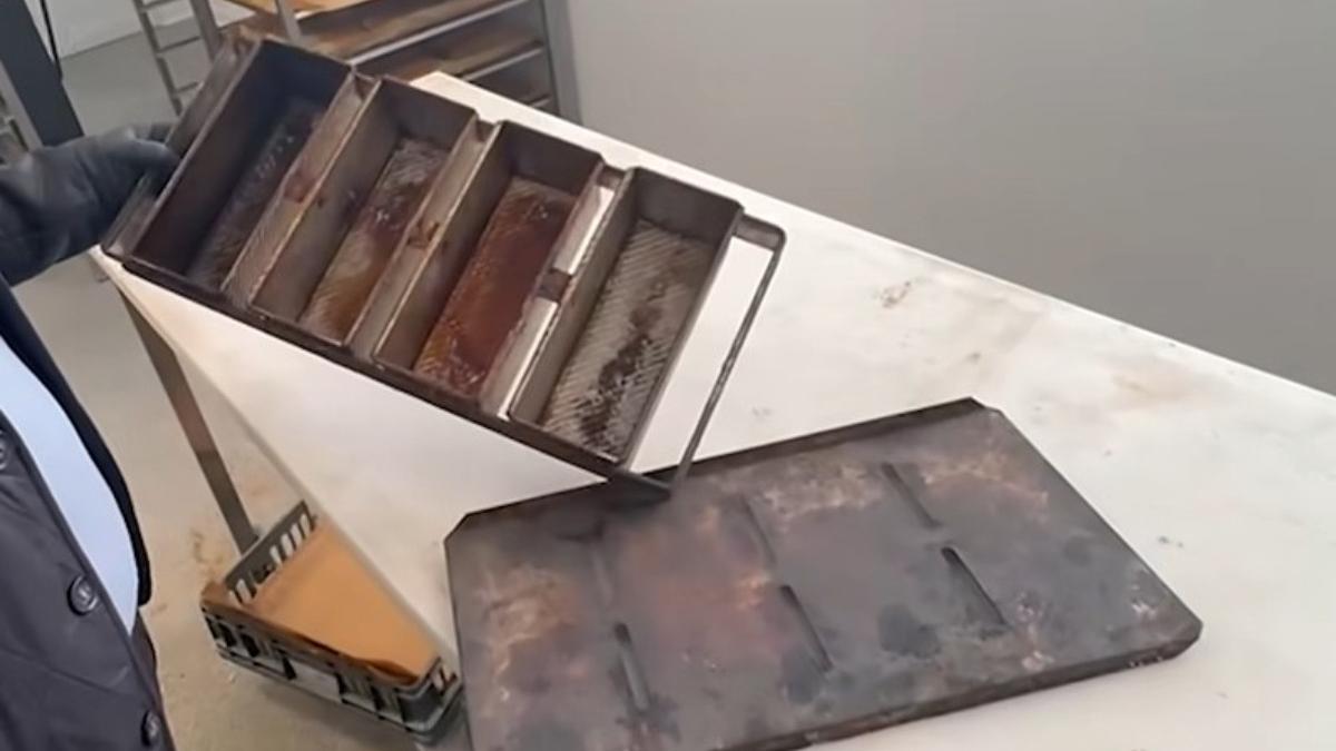 piedone a inchis patru restaurante din sectorul 5 si a dat amenzi de 135 000 de lei