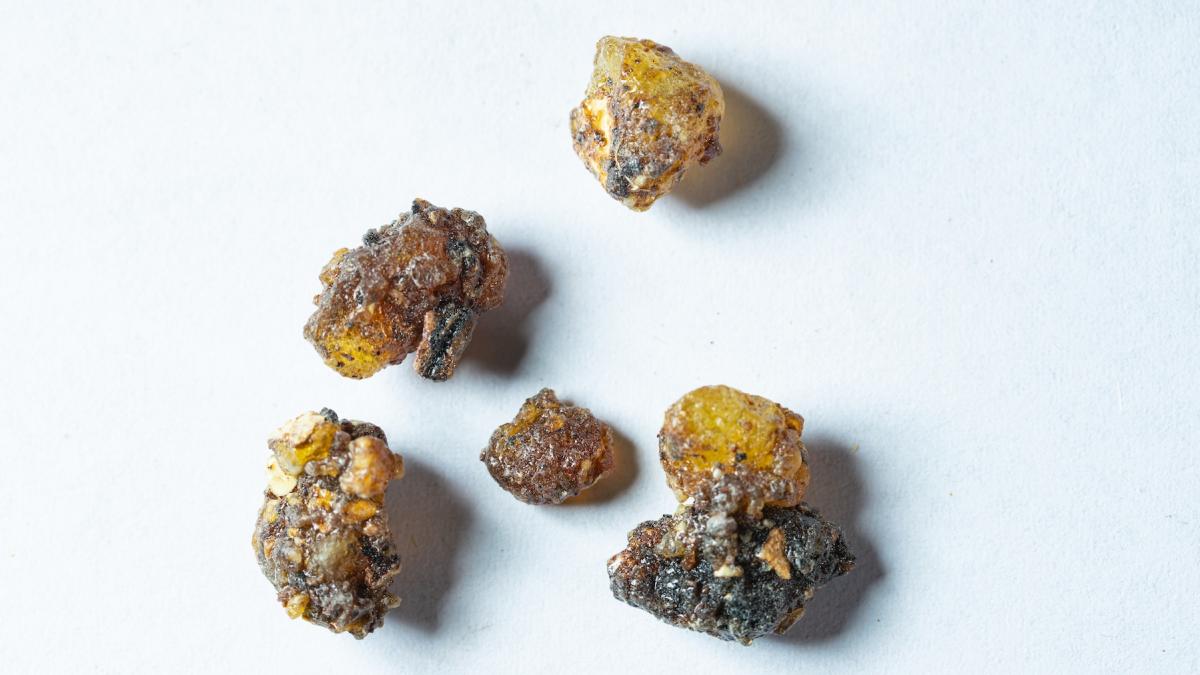 aurul alb al siciliei a fost redescoperit superalimentul este la mare cautare de cei mai buni bucatari si patiseri