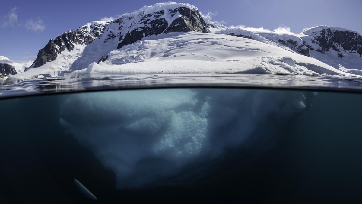 o lume total ascunsa timp de sute de ani a fost descoperita sub aisbergul gigant desprins in antarctica o lume total ascunsa timp de sute de ani a fost descoperita sub aisbergul gigant desprins in antarctica