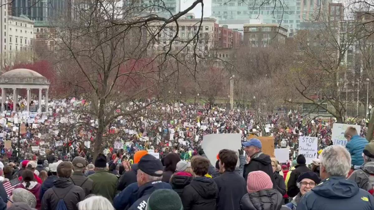 protestele anti trump cuprind sua si se raspandesc in europa ce este miscarea hands off