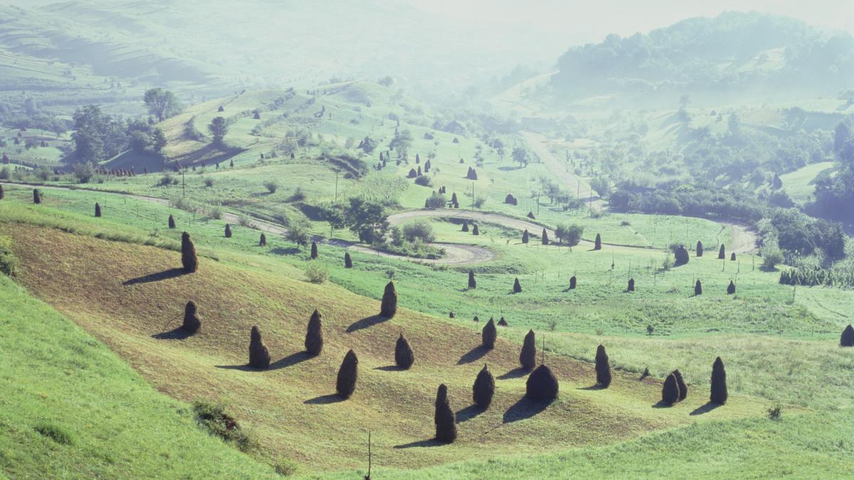 the guardian pajistile idilice de fan din romania sunt in pericol din cauza agriculturii moderne un mod de viata care dispare