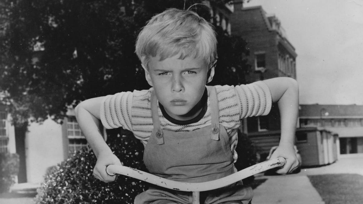 a murit actorul care l a jucat pe dennis pericol public in serialul tv jay north avea 73 de ani