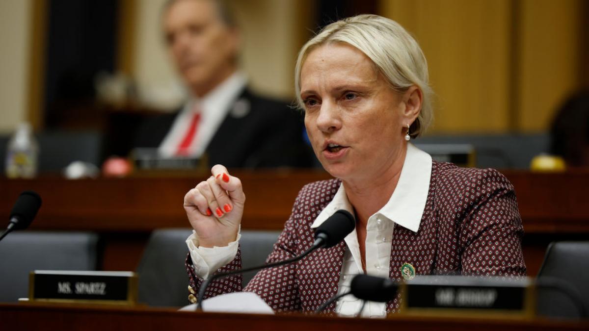 ucraineanca din congresul sua spune ca ucraina ar trebui sa cedeze teritorii rusiei iar volodimir zelenski sa plece