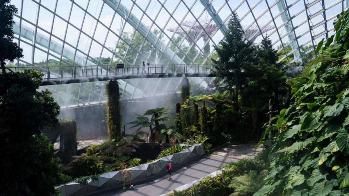 cum arata cel mai bun aeroport din lume cu spa si cea mai inalta cascada interioara e a 13 a oara cand primeste aceasta distinctie