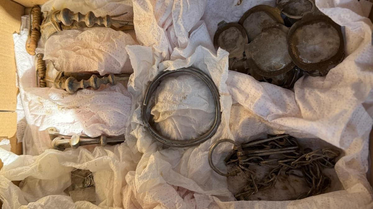 un tezaur dacic cu podoabe din argint a fost gasit cu detectorul de metale in mures piesele erau purtate de un personaj de vaza