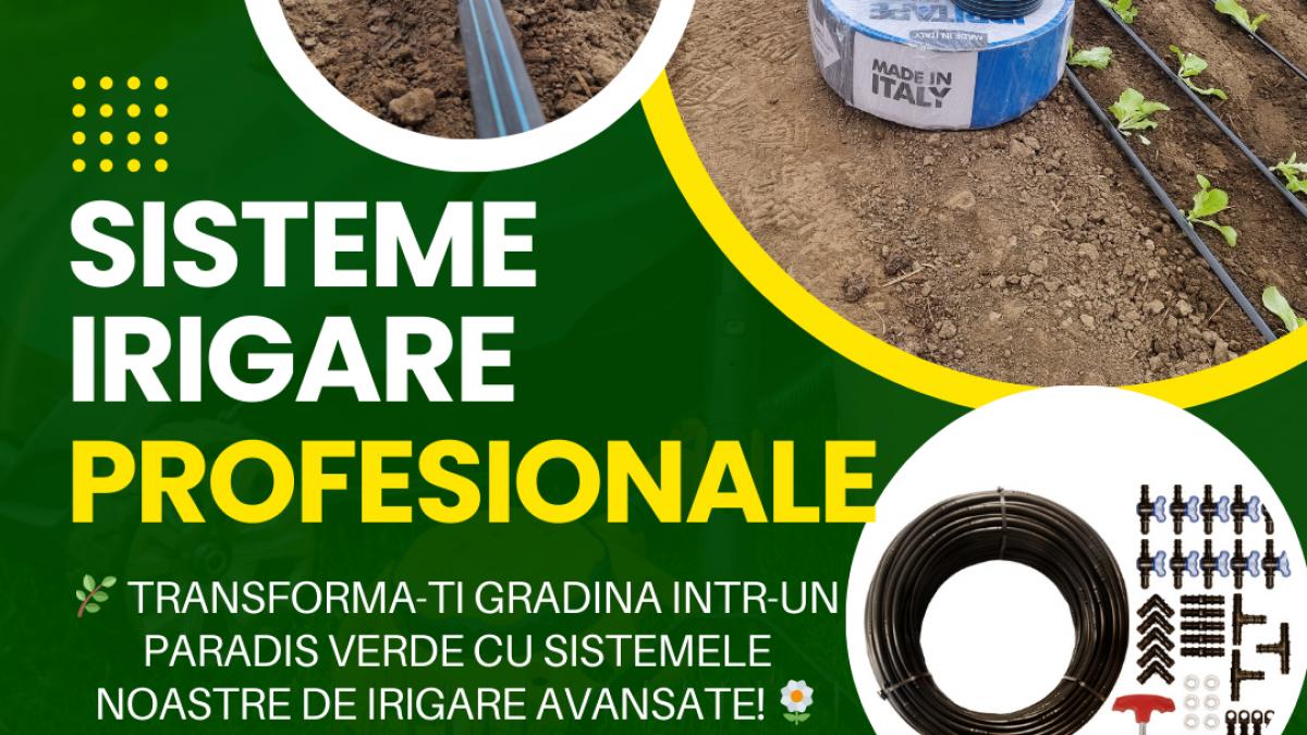 instalatii de picurare irigare eficienta si economie de apa