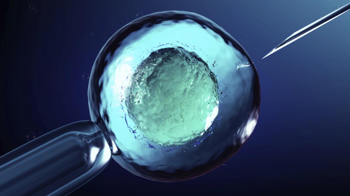 fertilizare in vitro inseminare artificiala