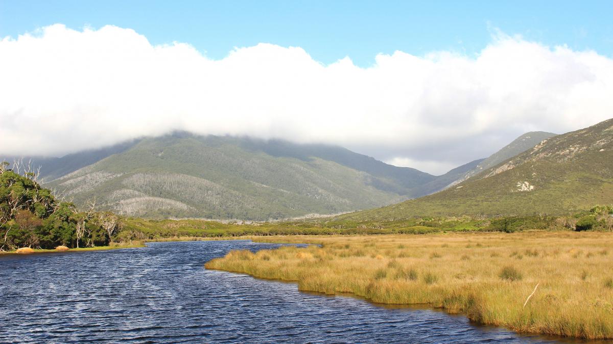 in australia se cauta medici iar salariul oferit este de 6 ori mai mare decat media europeana