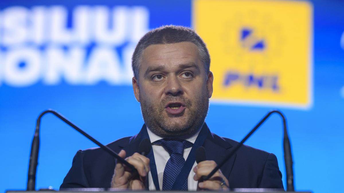 politia locala a sectorului 6 ajunge in subordinea primariei a fost aprobata reorganizarea aparatului administrativ