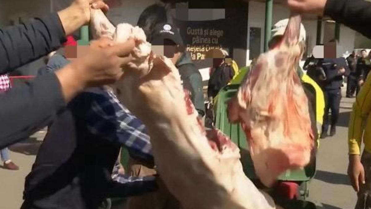 scandal in piete carnea de miel aruncata la tomberon care e motivul