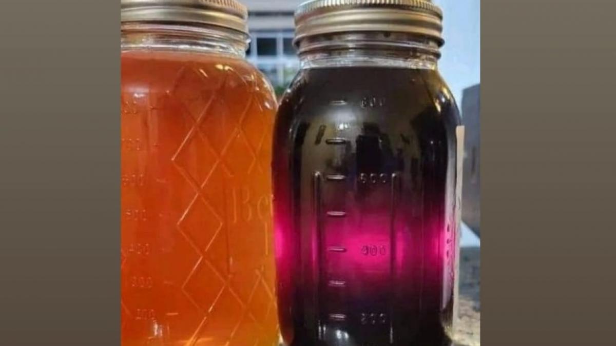 singurul loc din lume unde albinele produc miere mov cercetatorii sunt fascinati si nu au o explicatie