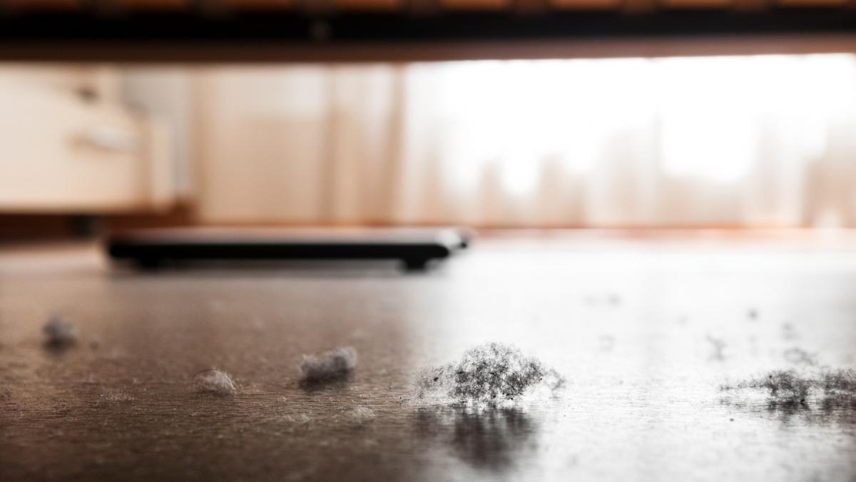 aproape 200 de substante cancerigene descoperite in praful din locuintele europene un adevarat cocktail toxic