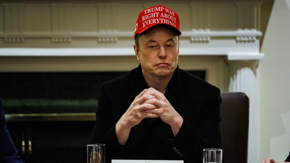 elon musk cu o sapca cu trump