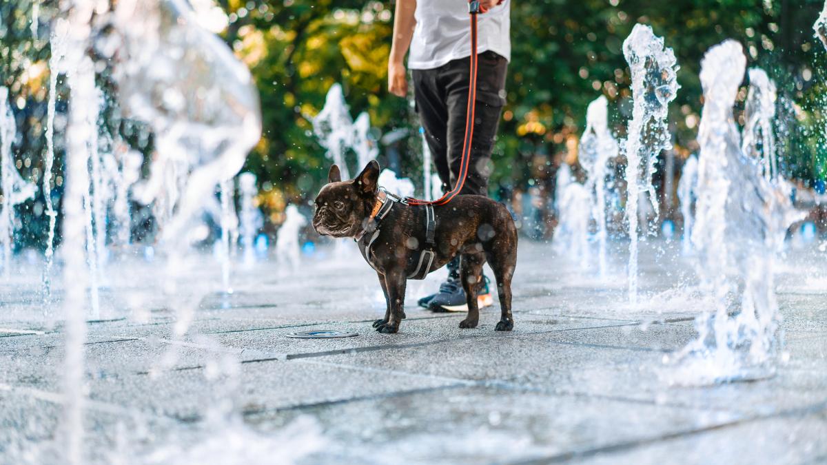 cum va fi vremea in urmatoarele patru saptamani prognoza meteo pana pe 19 mai